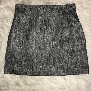 Silver Sparkly Skirt